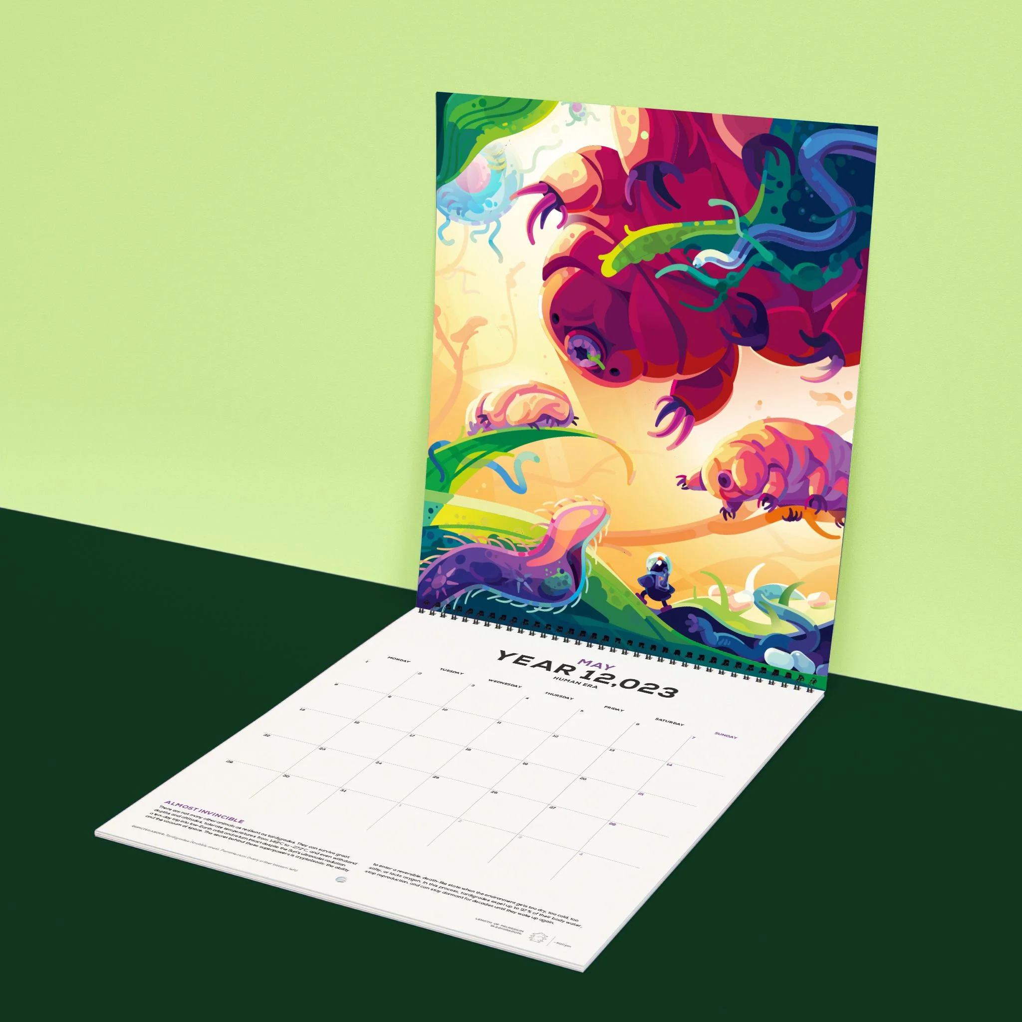 12,023 Human Era Calendar - Image 3