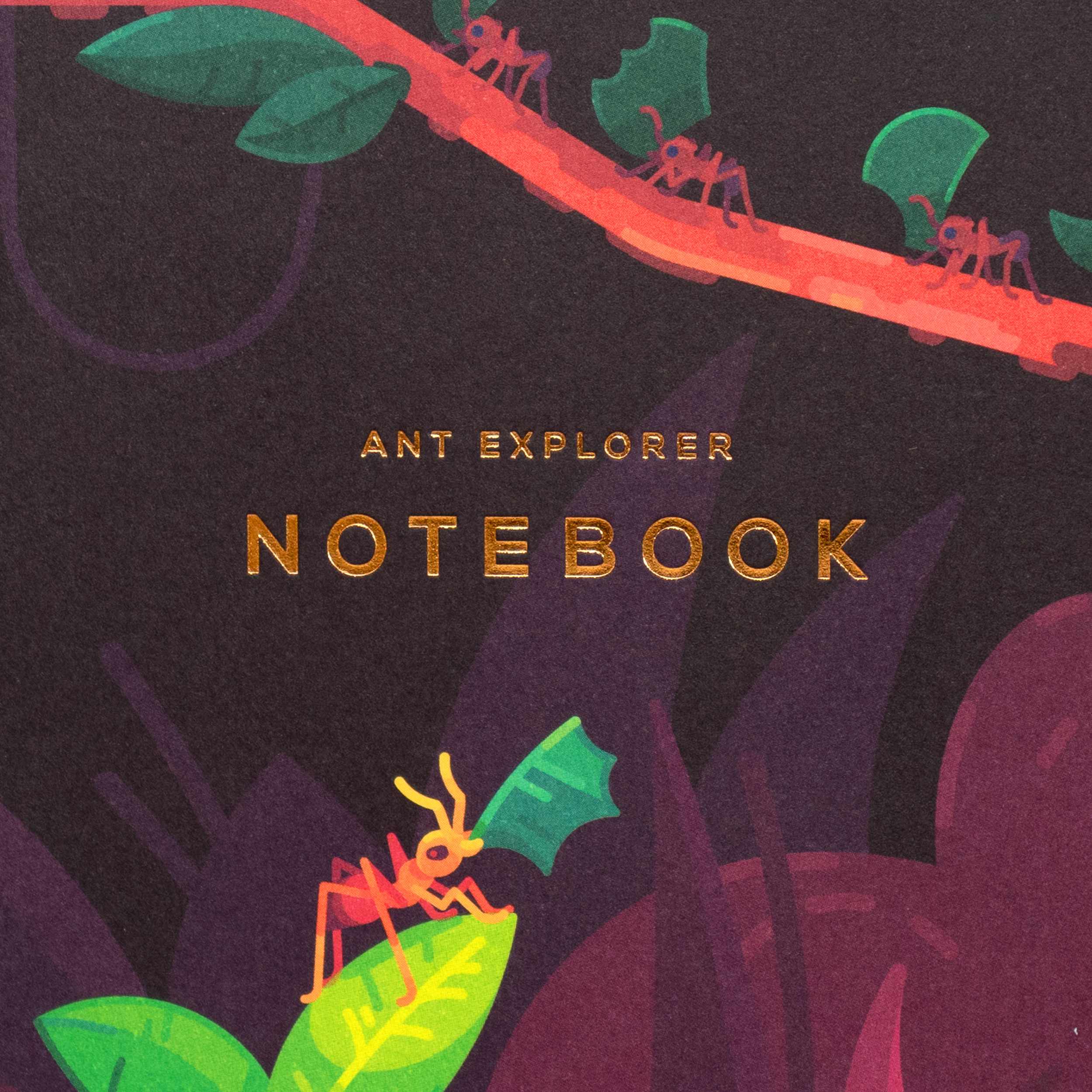 Ant Explorer Notebook - Image 3