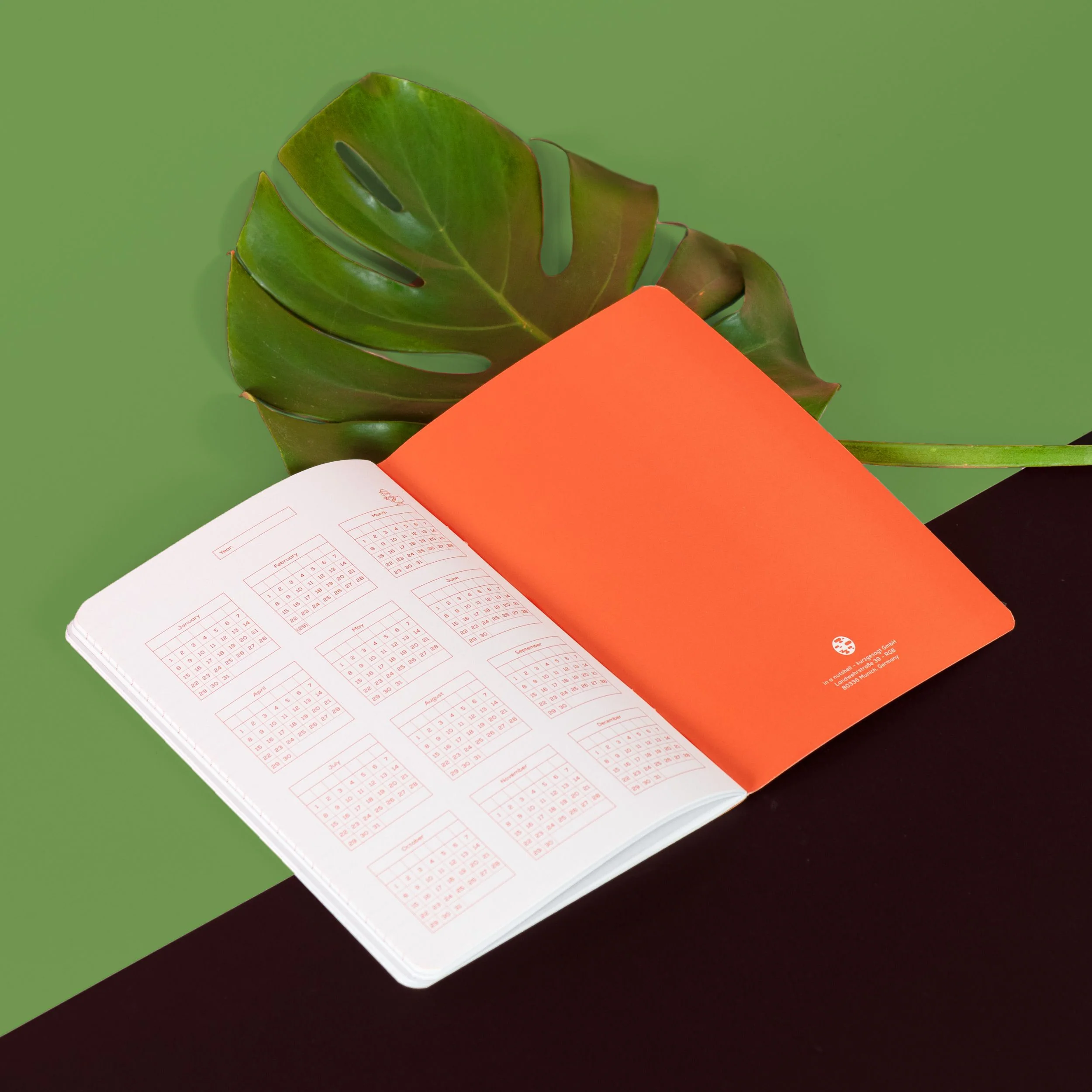 Ant Explorer Notebook - Image 6