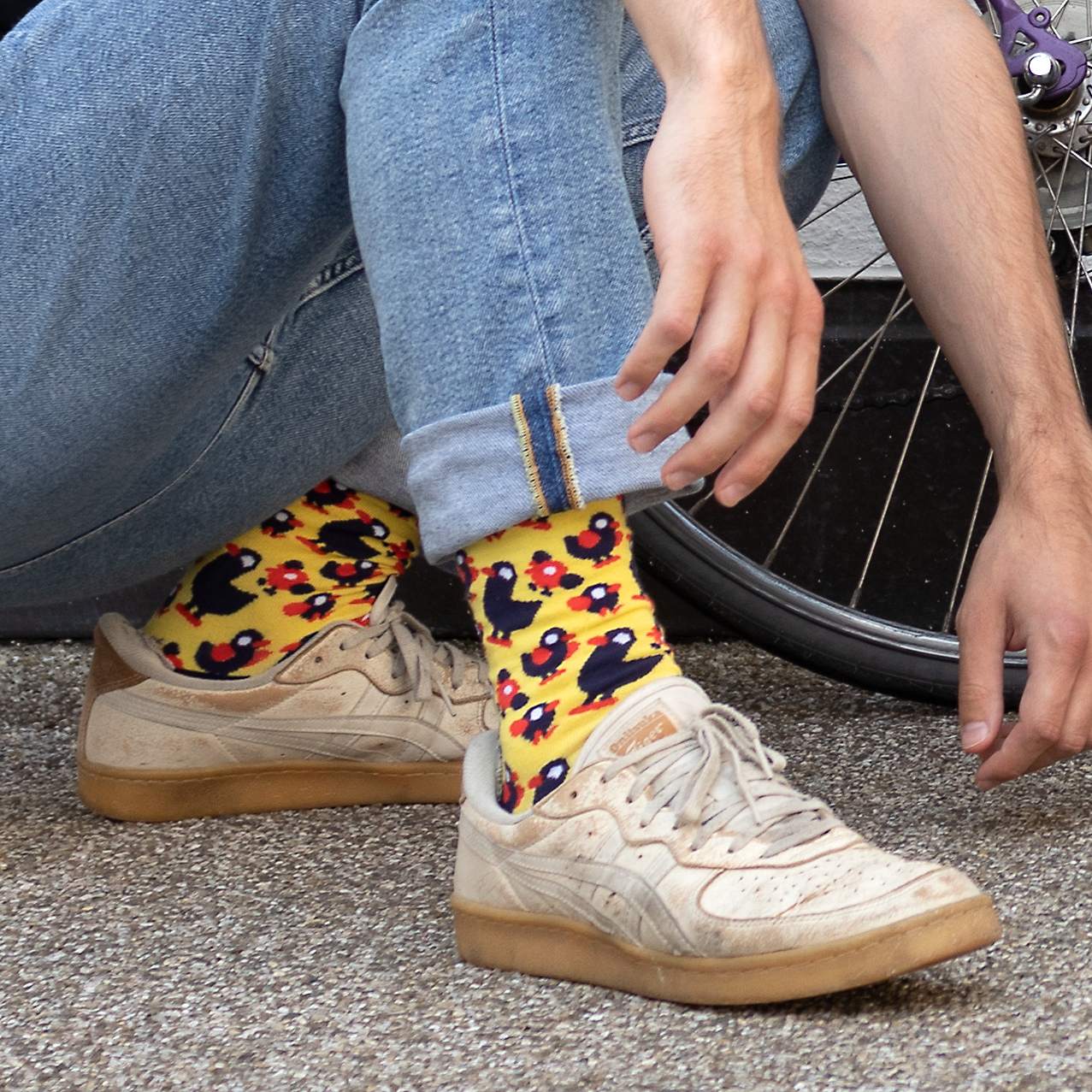 Duck and Bird Socks - Image 4