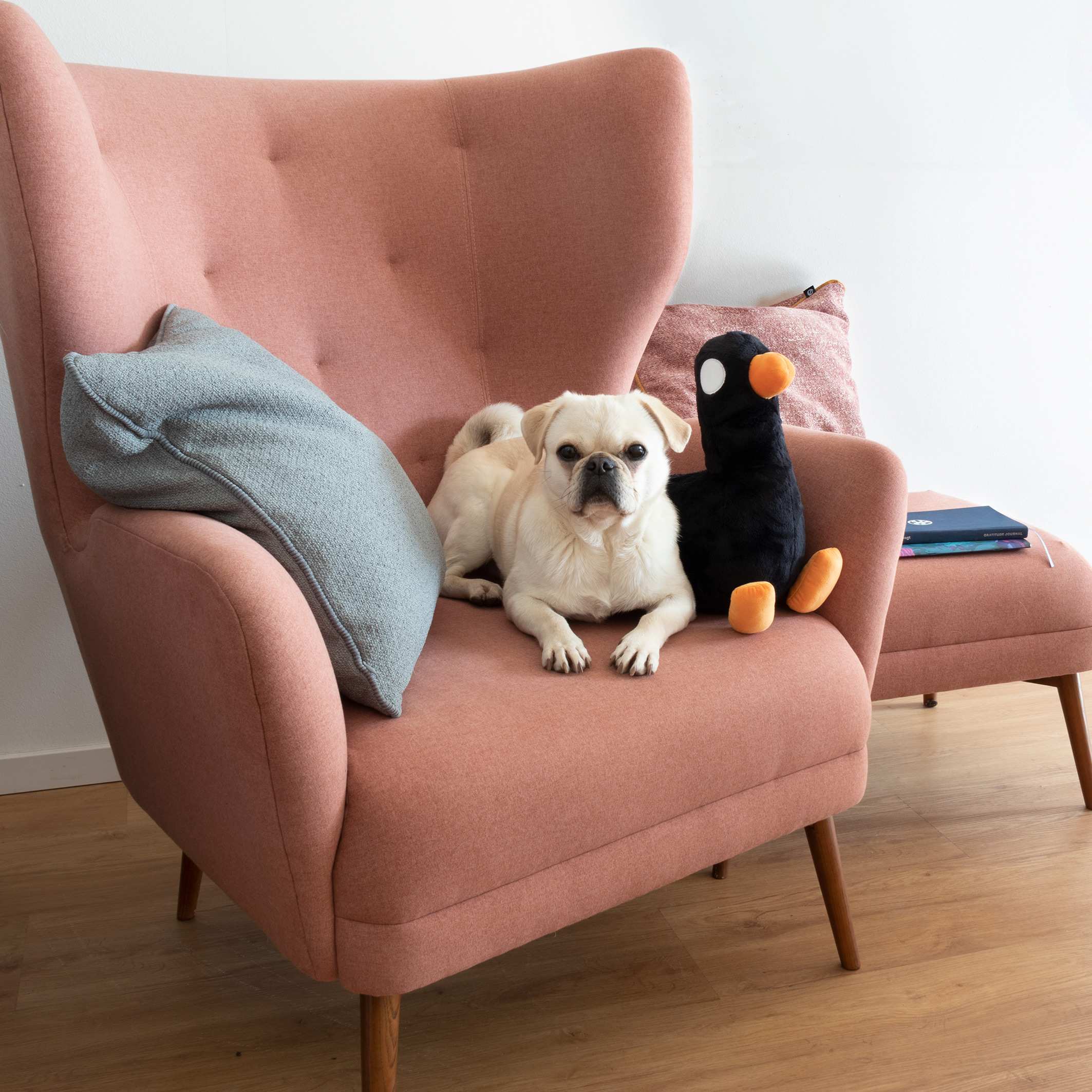 Duck Plushie - Image 4