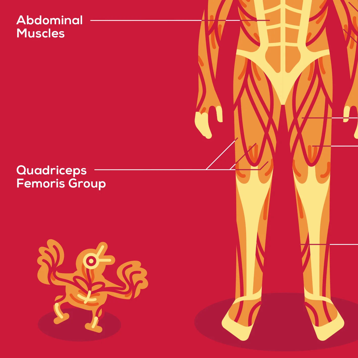 Human Body Poster - Image 4