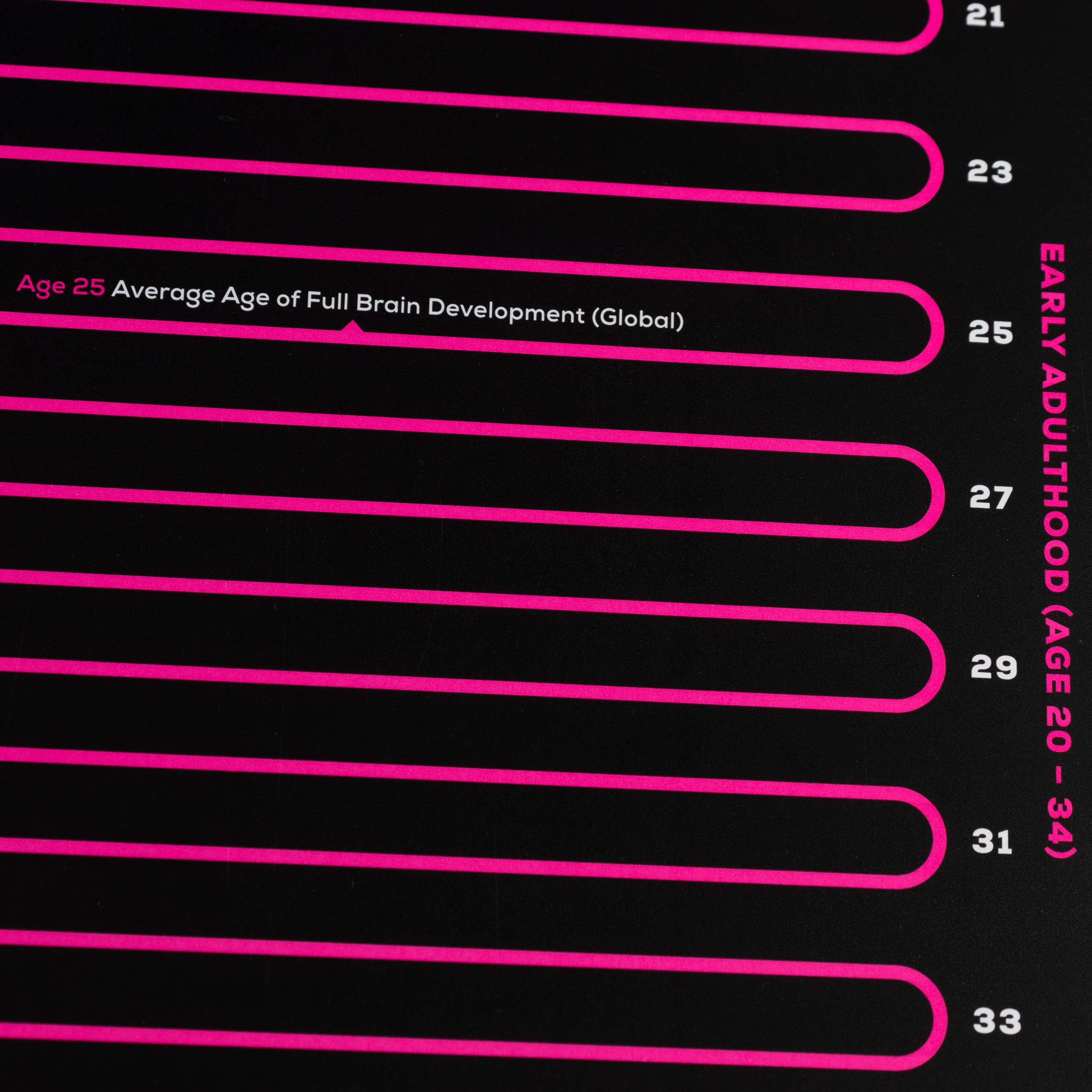 Timeline of Your Life Infographic Poster - Image 4