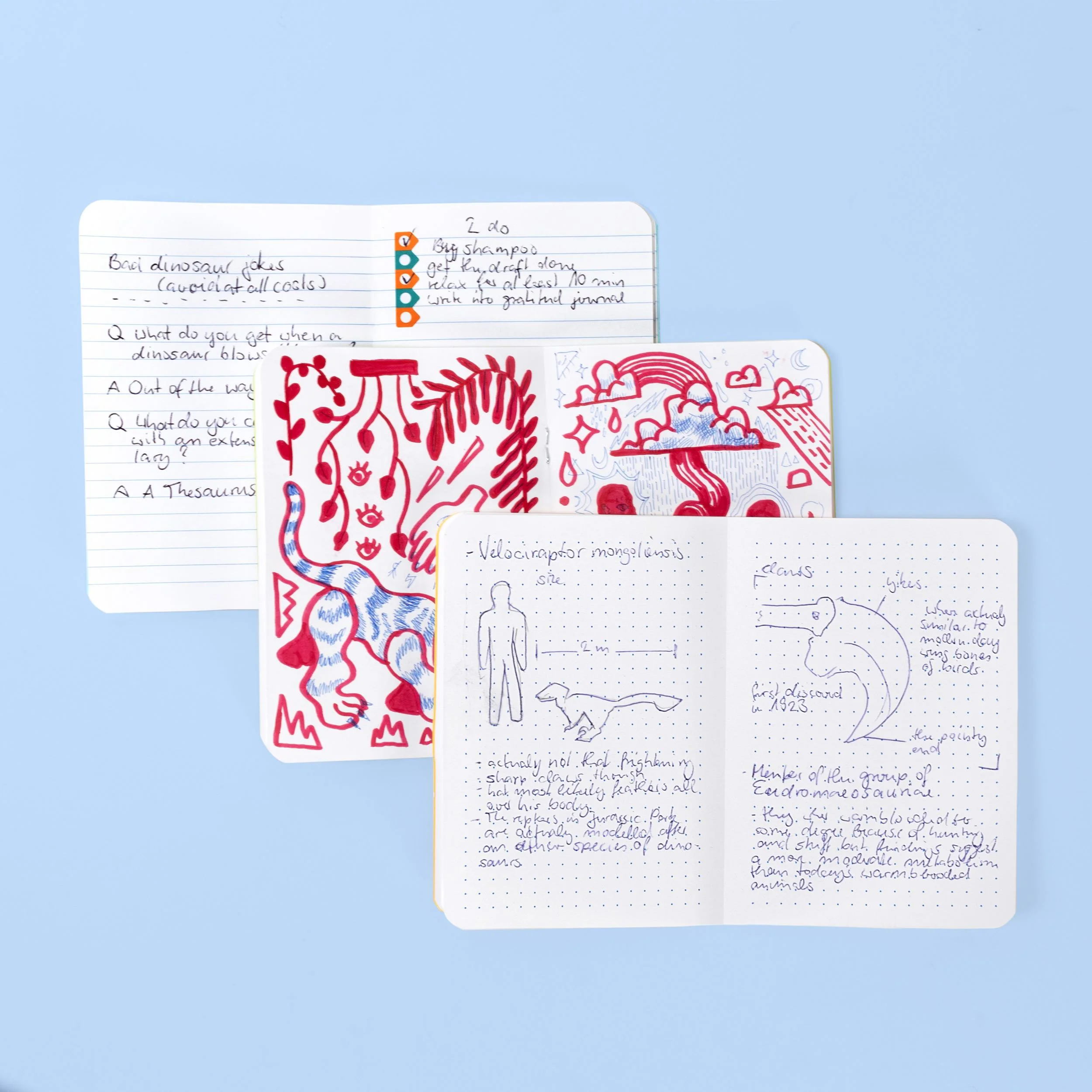 Pocket Log: Dinosaur Collection - Image 9